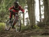 Action im Wald - Circuit Behind the scenes