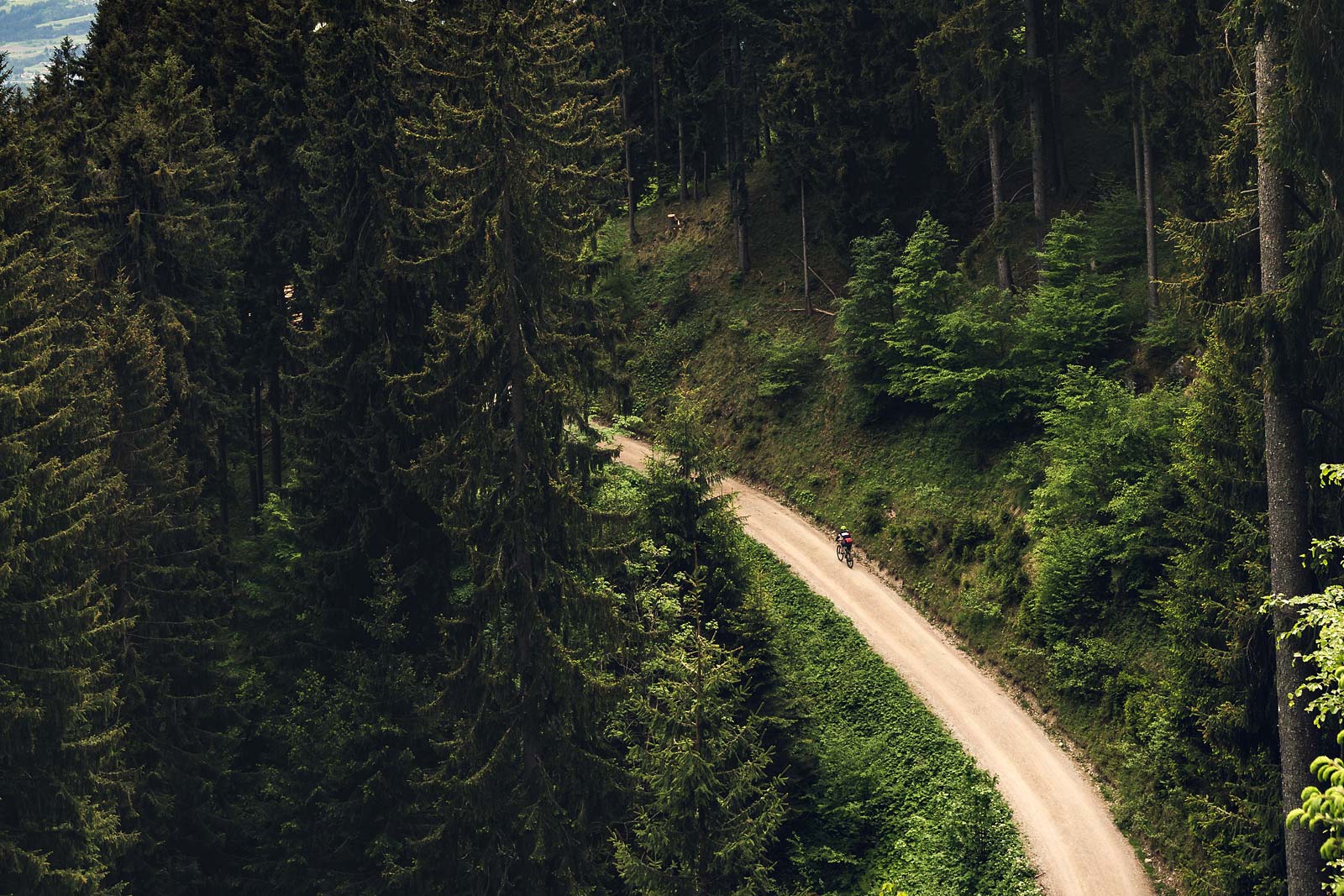 Gravel Bike